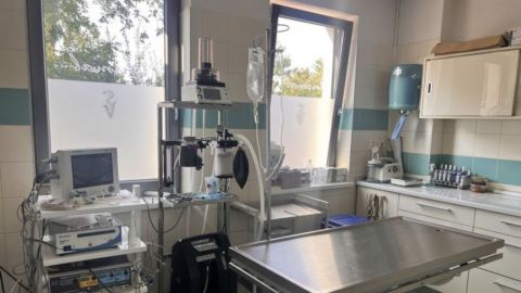 Veterinárna Pohotovosť  klinika pre zvieratá Michalovce