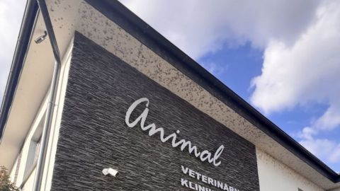 Veterinárna Pohotovosť  klinika pre zvieratá Michalovce