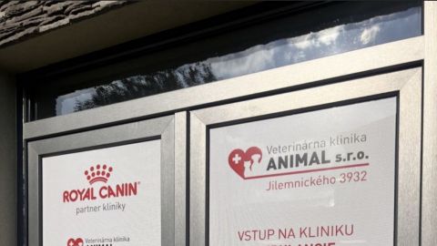 Veterinárna Pohotovosť  klinika pre zvieratá Michalovce