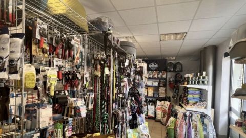 Veterinárna Pohotovosť  klinika pre zvieratá Michalovce