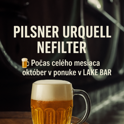 PILSNER URQUELL NEFILTER 