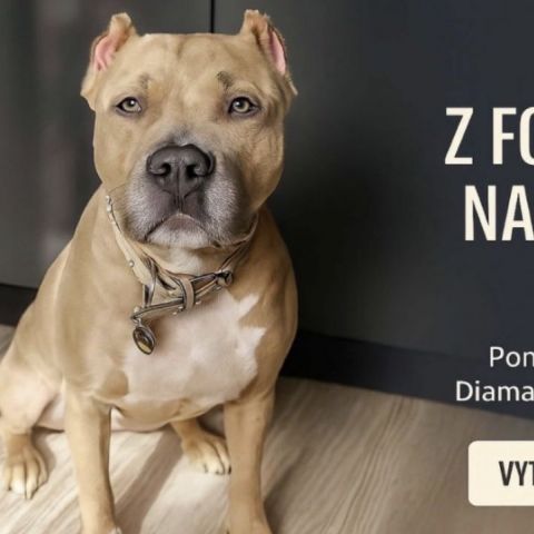 Obraz z vlastnej Fotky