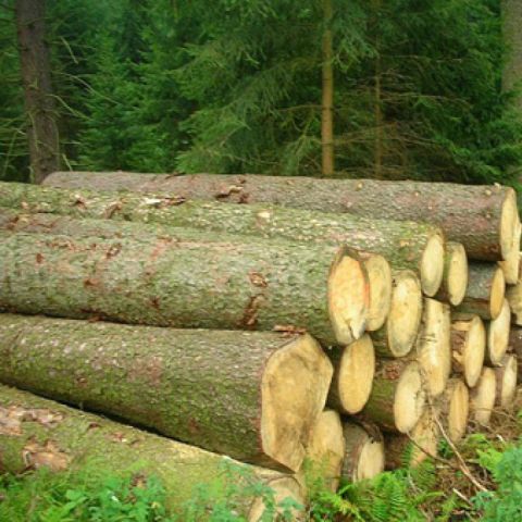 Listnatá ihličnatá  guľatina Humenné