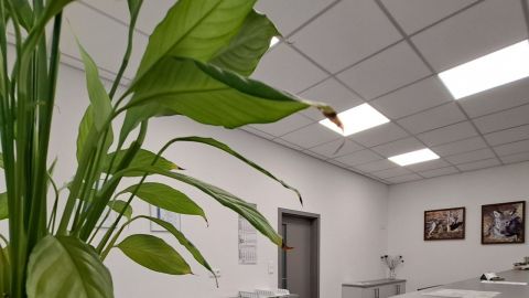 Kontrola Originality Poprad