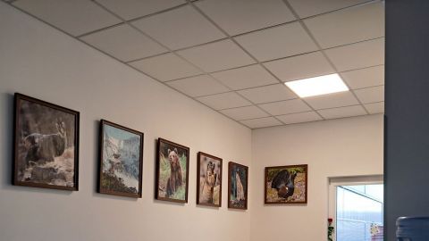 Kontrola Originality Poprad