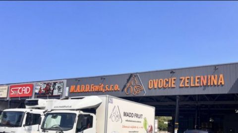 Akcia ovocie zelenina Michalovce