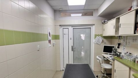 Veterinár pohotovosť Michalovce  