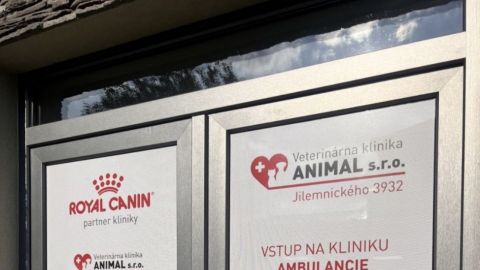 Veterinár pohotovosť Michalovce  