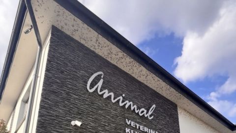 Veterinár pohotovosť Michalovce  